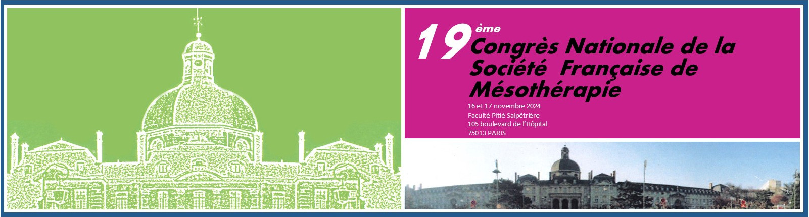 Congress of the French Society of Mesotherapy